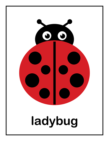 Ladybug card
